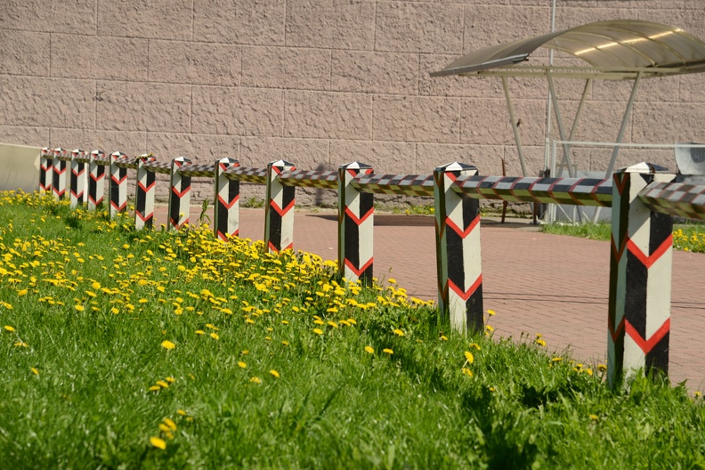 Cool Fence Outside Peter and Paul Fortress.JPG
